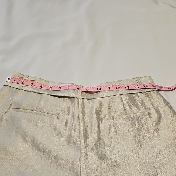 LOFT Champagne Gold Dress Shorts - Picture 7 of 8
